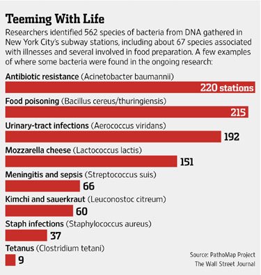 SubwayBacteria