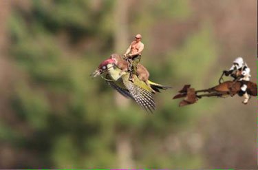 Weaselpecker3