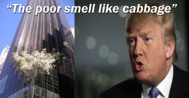 TrumpCabbage