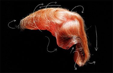 TrumpHair3