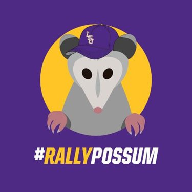 RallyPossum